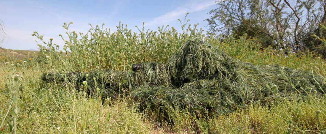 The Physics of Dimensional Concealment: A Field Guide to Active Camouflage Integration