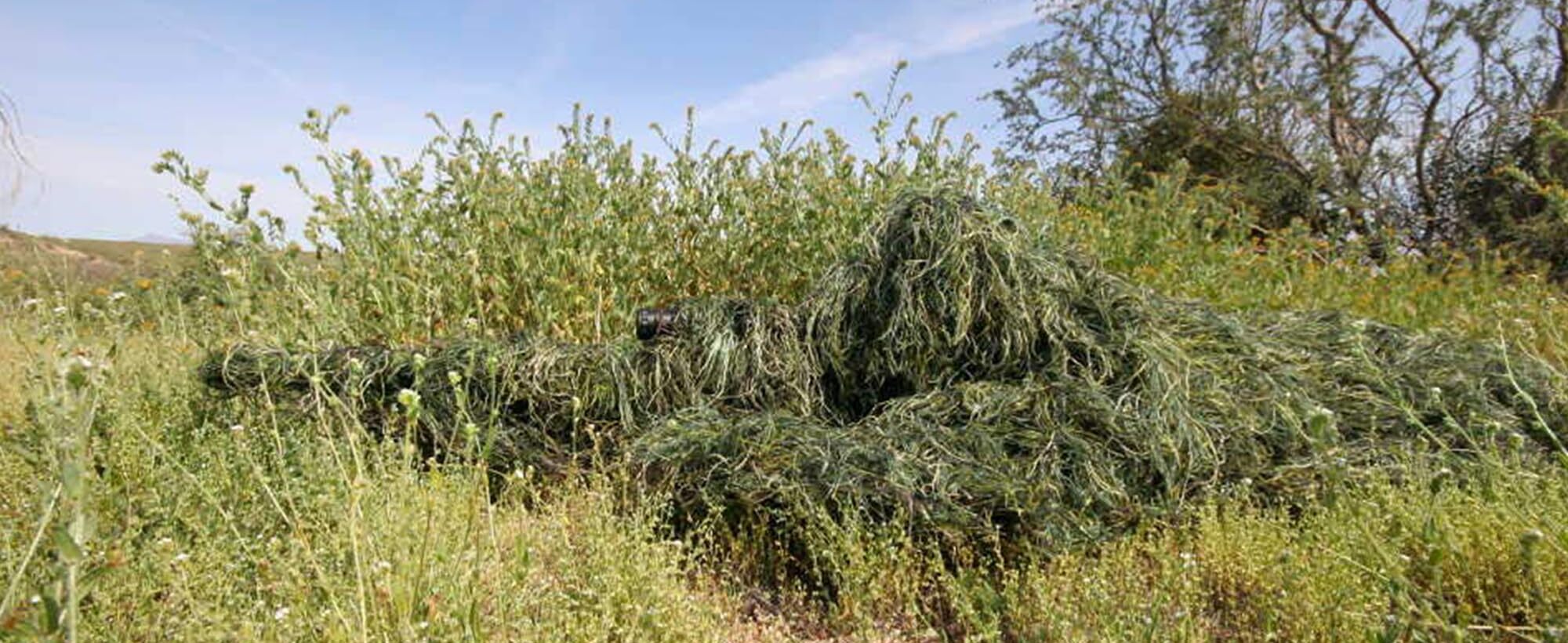 The Physics of Dimensional Concealment: A Field Guide to Active Camouflage Integration