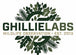 GhillieLabs - Home