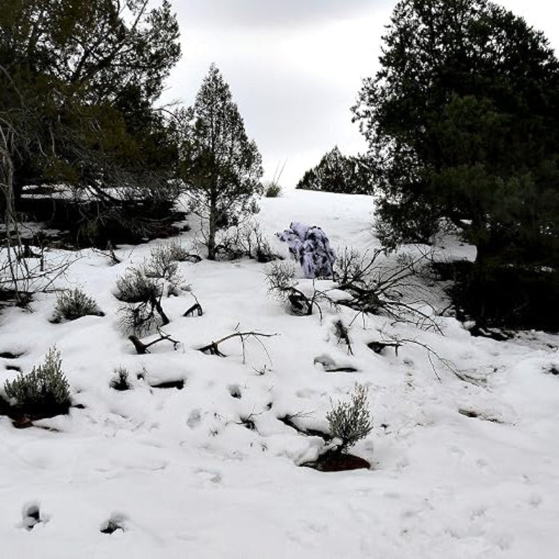 A wide-angle field integration test showcasing the flawless profile disruption of the winter snow camouflage ghillie suit on a snow-covered hillside.