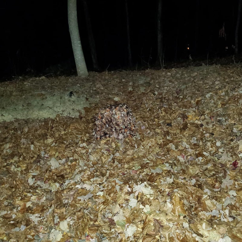 Ultimate profile disruption demonstrated by an observer blending completely into a thick bed of dry fallen autumn leaves wearing double-density professional ghillie gear.